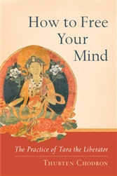How to Free Your Mind: Tara the Liberator by Thubten Chodron