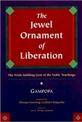 The Jewel Ornament of Liberation: The Wish-Fulfilling Gem of the Noble Teachings  by Gampopa
