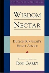 Wisdom Nectar: Dudjom Rinpoche's Heart Advice by Ron Garry