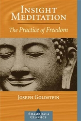 Insight Meditation: the Practice of Freedom by Joseph Goldstein