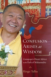 Confusion Arises as Wisdom, by Ringu Tulku