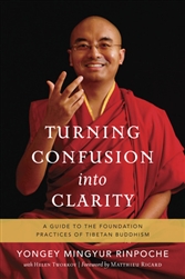 Turning Confusion Into Clarity, by Yongey Mingyur Rinpoche