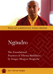 Ngondro Part 1, by Mingyur Rinpoche, DVD