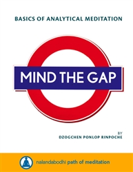 Mind the Gap, Basics of Analytical Meditation, by Dzogchen Ponlop Rinpoche