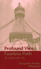 Profound View Fearless Path: The Bodhisattva Vow by Dzogchen Ponlop Rinpoche