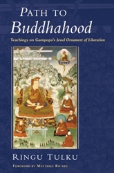 Path to Buddhahood: Teachings on Gampopa's Jewel Ornament of Liberation  by Ringu Tulku