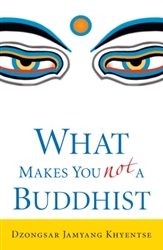What Makes You Not A Buddhist by Dzongsar Jamyang Khyentse