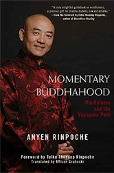 Momentary Buddhahood: Mindfulness and the Vajrayana Path by Anyen Rinpoche
