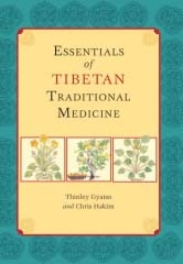 Essentials of Tibetan Traditional Medicine by Thinley Gyatso and Chris Hakim
