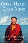 Open Heart, Open Mind: Awakening the Power of Essence Love by Tsoknyi Rinpoche
