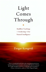 Light Comes Through (Hard Cover) by Dzigar Kongtrul