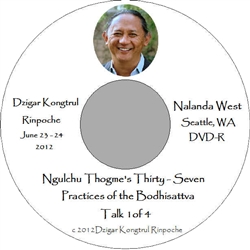 Ngulchu Thogme's 37 Practices of the Bodhisattva, by Dzigar Kongtrul Rinpoche