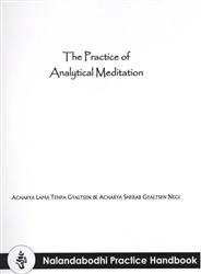Practice of Analytic Meditation